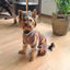 Dreamy Dog Sleepwear