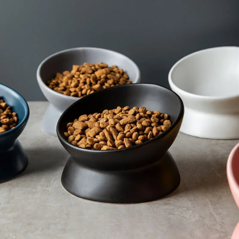 Ceramic Feeding Cat Bowl