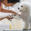 PawTrim Pet Safe Scissors