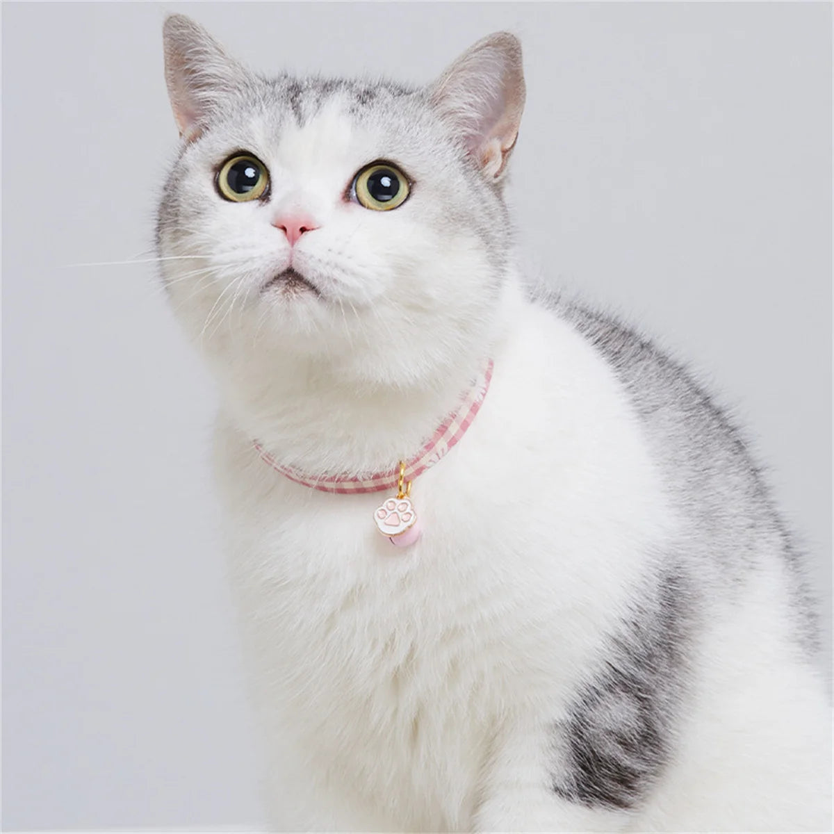 Avocado Pendant Cat Collar