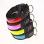Glowing Dog Collar LED