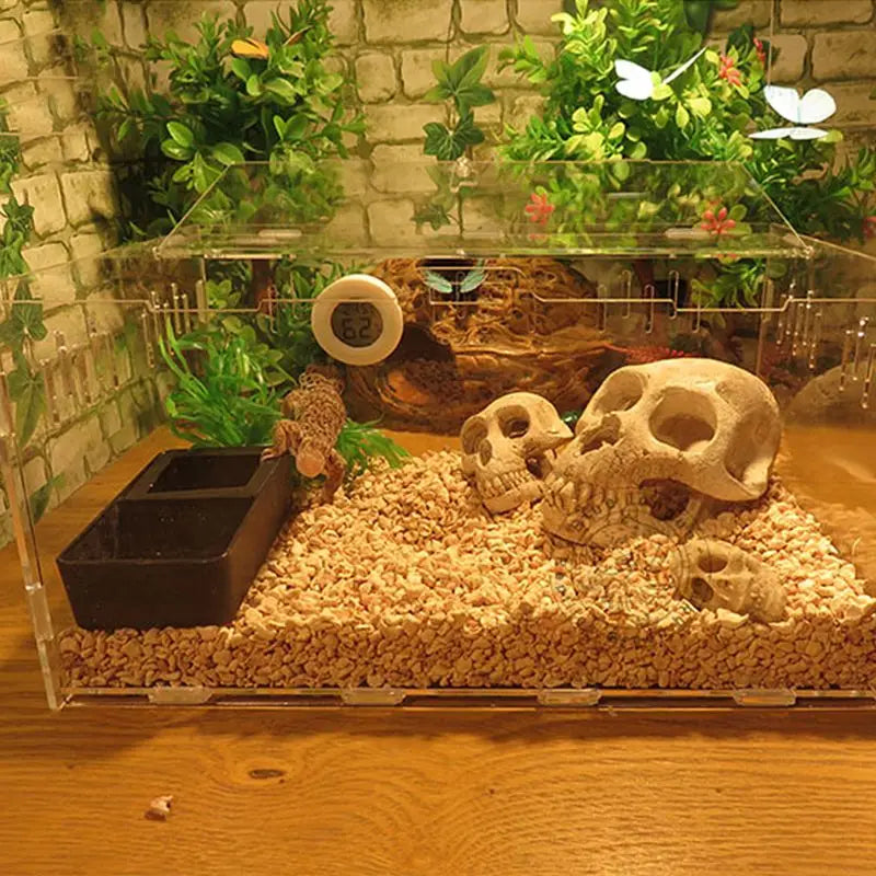 Plastic Reptile Feeder Bowl