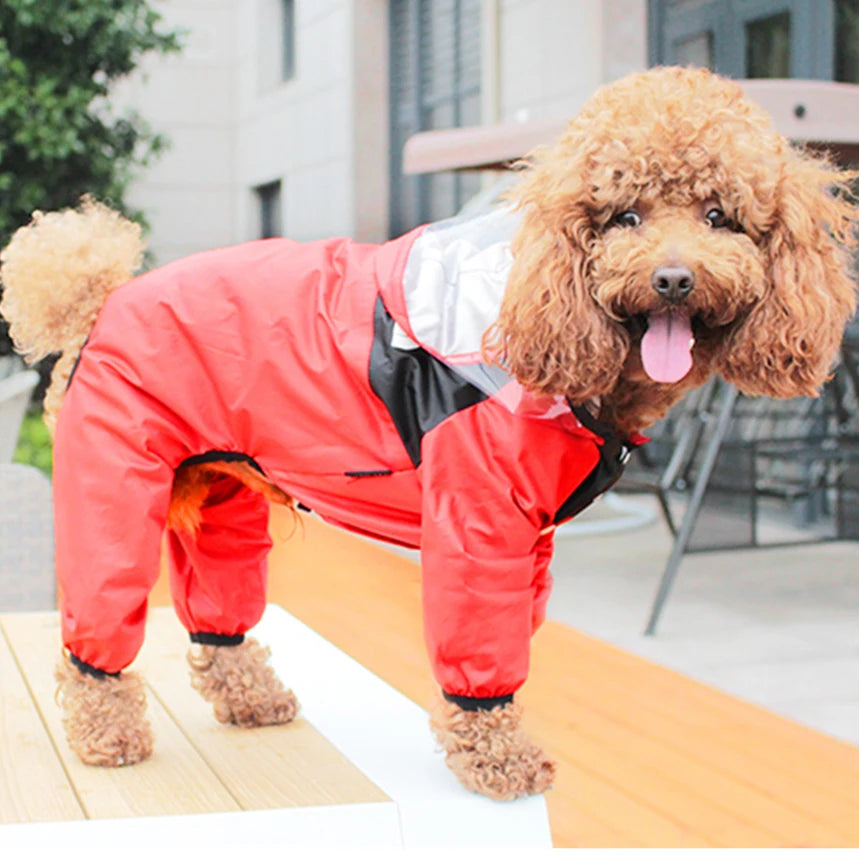 RainGuard Dog Coat