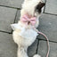 Cute Bowknot Cat Harness