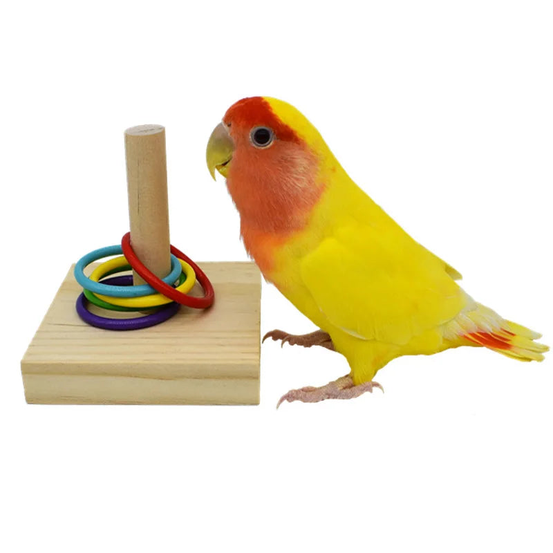 Bird Training Toys Wooden Set