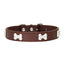 Dog Collar with Bone