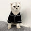 Fun Festive Wear for Cats