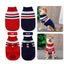 Winter Stripes Dog Sweater