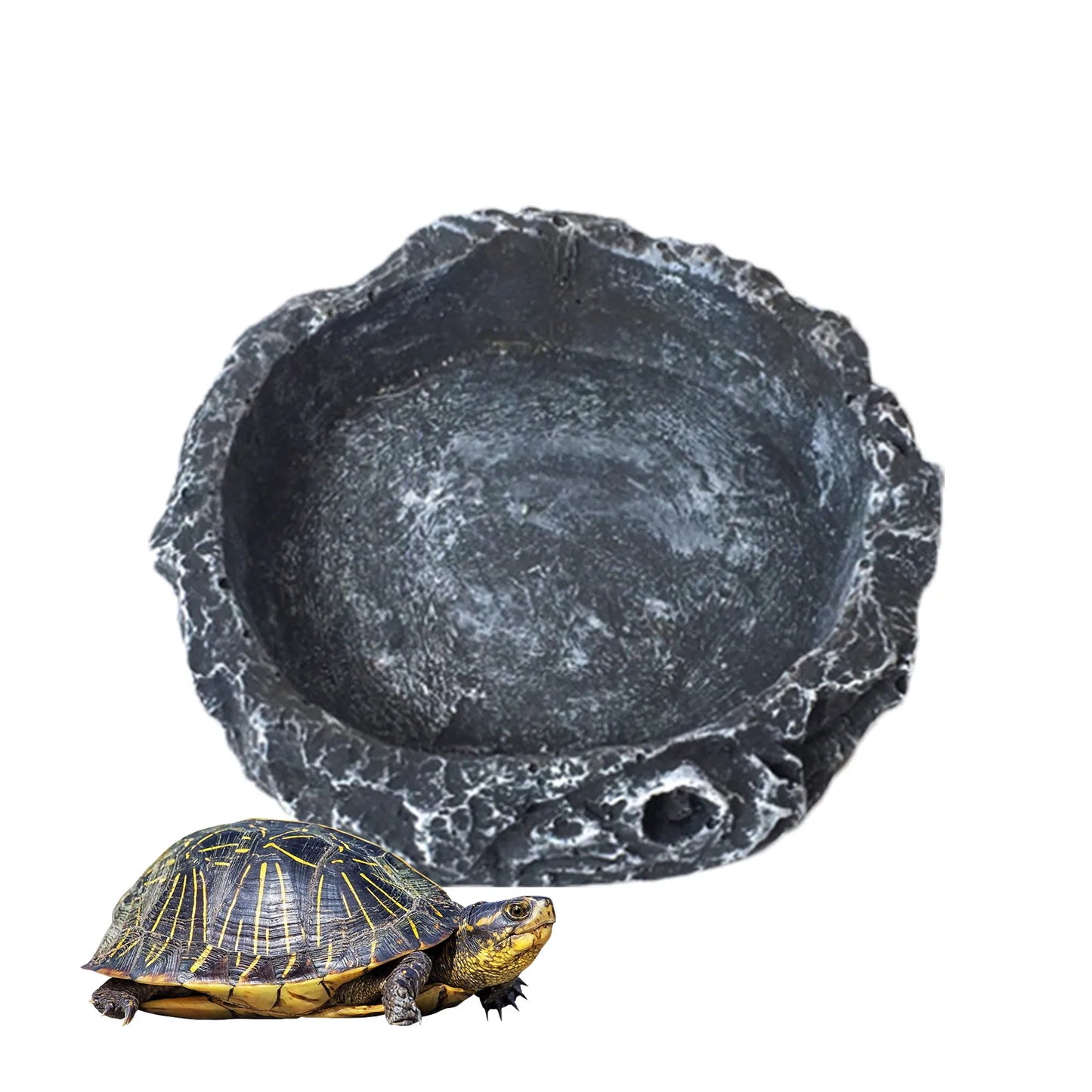 Pet Feeder Bowl and Drinker