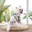 Tropical Vibes Dog Shirt