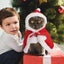 Santa Cat Outfit Costume