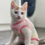 Fleece Pet Cat Clothes