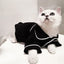 Fun Festive Wear for Cats