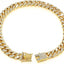 Luxury Gold Dog Chain Collar