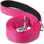 ReflectaTails Training Leash