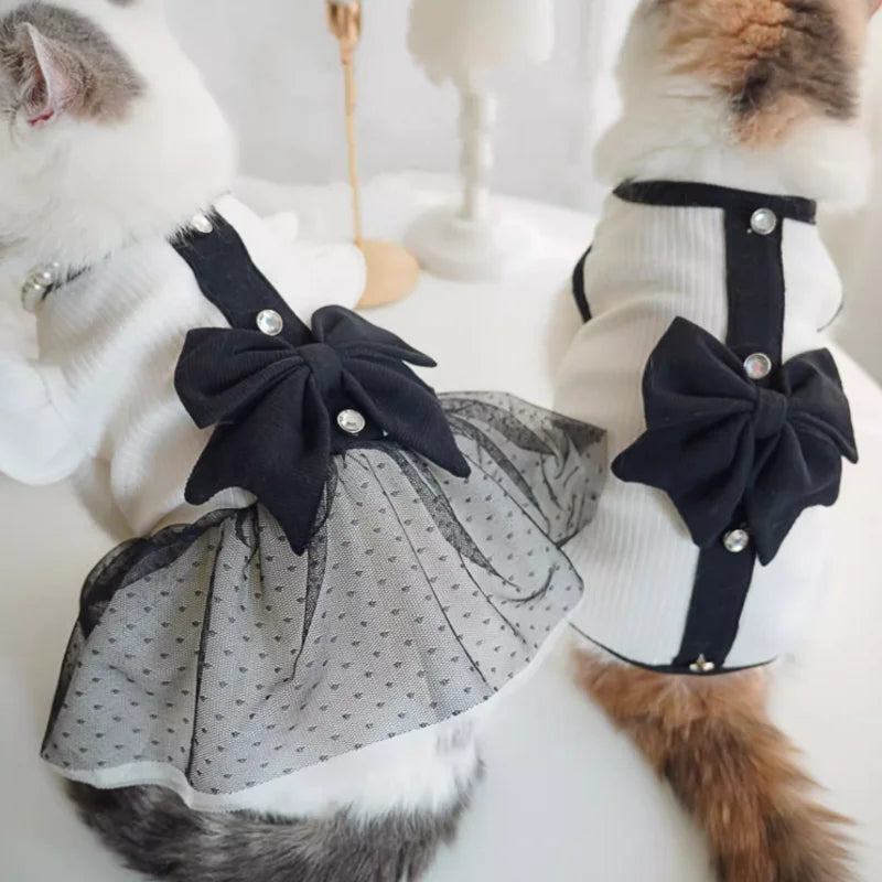 Regal Bow Lace Dog Dress