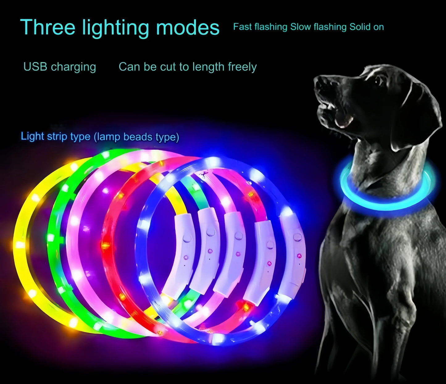 طوق ضوء LED للكلاب