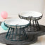 Pet Ceramic Bowl with Rack