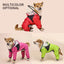 RainGuard Dog Coat