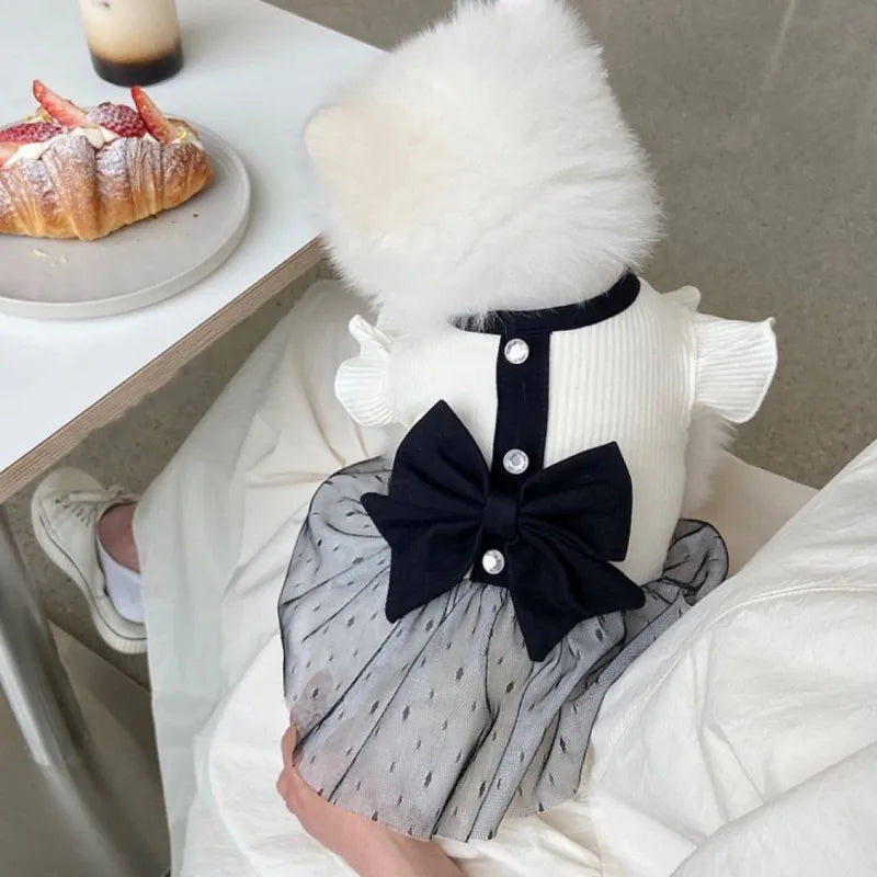 Regal Bow Lace Dog Dress