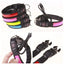 Glowing Dog Collar LED