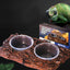 Frog & Lizard Feeder Dish