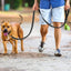 ReflectaTails Training Leash