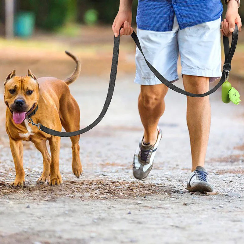 ReflectaTails Training Leash