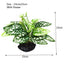 Artificial Fish Tank Plants