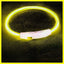 طوق ضوء LED للكلاب